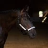 Equestrian Stockholm Halter And Lead Set Luminous Black