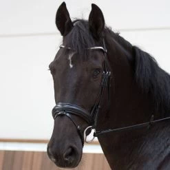 Horze Lester Bridle With Rein -Equestrian Clothing Shop lester bridle 2