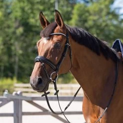 Horze Lester Bridle With Rein -Equestrian Clothing Shop lester bridle 3