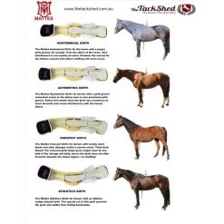 Mattes Anatomic Girth -Equestrian Clothing Shop mattes girth styles tts 66076.1519431209