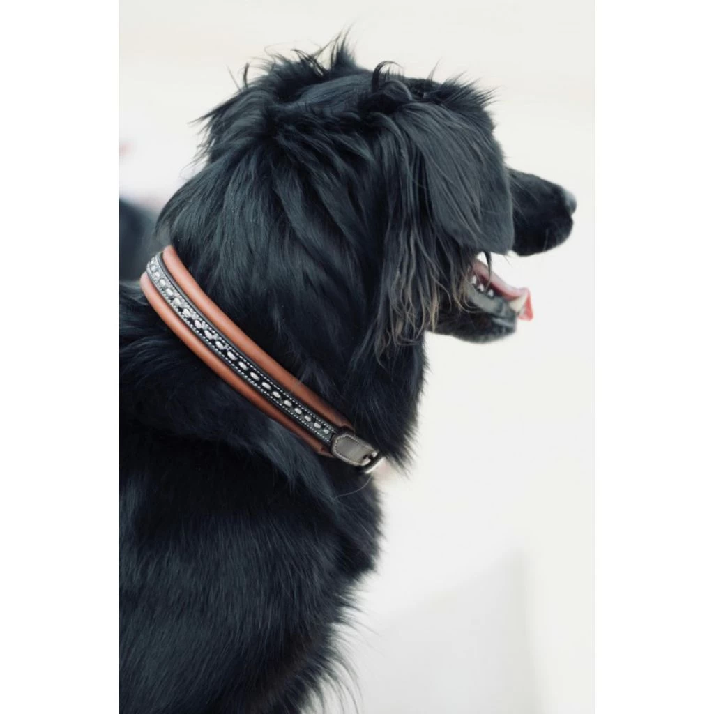 Penelope Point Sellier Dog Collar 2 Penelope Point Sellier Dog Collar - Image 2