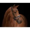 PS Of Sweden GP Rolled Leather Bridle