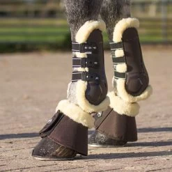 Brands Of Q Ontario Tendon Boots Pair