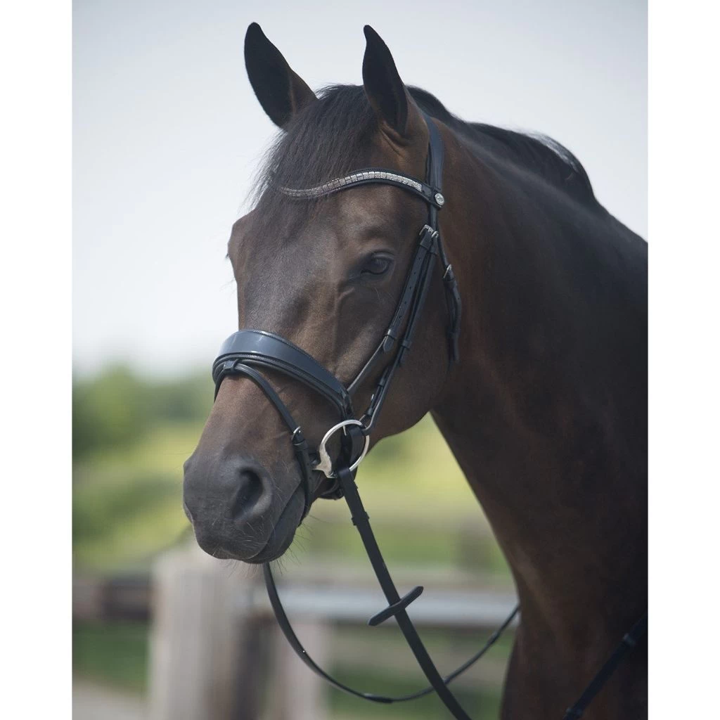 QHP Sita Leather Bridle With Crystal Browband And Webb Reins 1 QHP Sita Leather Bridle With Crystal Browband And Webb Reins