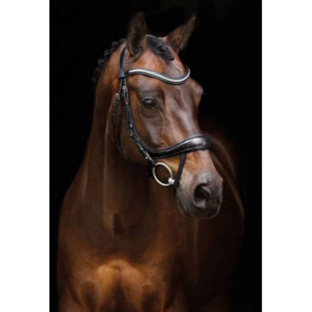 QHP Sita Leather Bridle With Crystal Browband And Webb Reins 5 QHP Sita Leather Bridle With Crystal Browband And Webb Reins - Image 5
