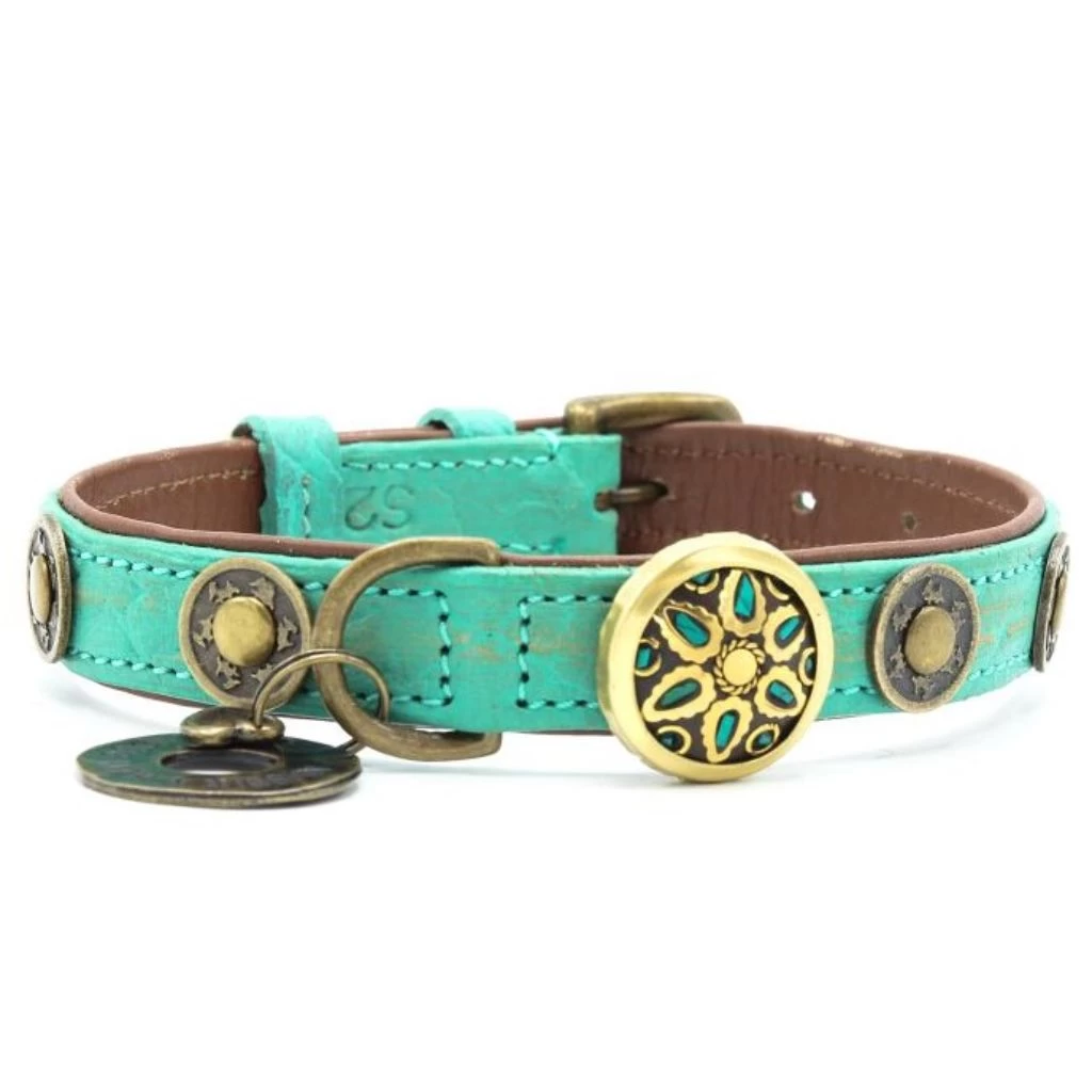 Dog With A Mission Rebel Dog Collar With Brass Trim 2 Dog With A Mission Rebel Dog Collar With Brass Trim - Image 2