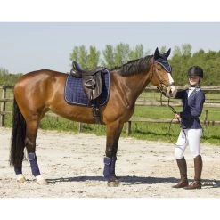 QHP Sparkle Tie-Down Bonnet -Equestrian Clothing Shop sparkle 3