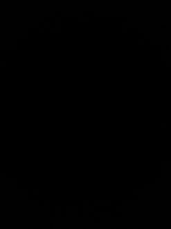 Tredstep Pure Air Cool Socks -Equestrian Clothing Shop tredstep black