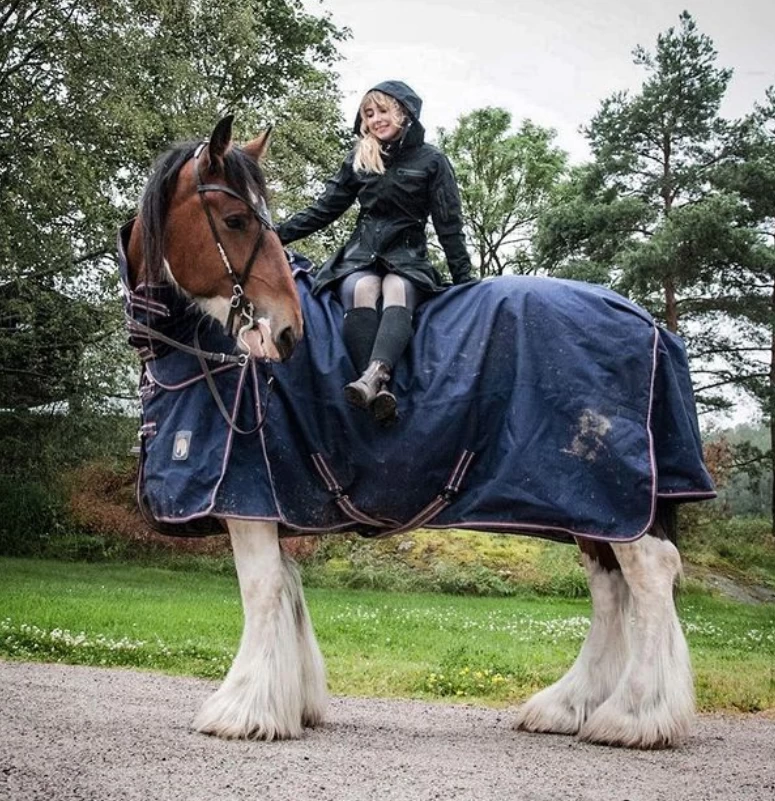 UHIP Mid Length Water Repellent Trench Coat DARK BLUE 10 UHIP Mid Length Water Repellent Trench Coat DARK BLUE - Image 10