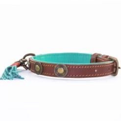 Dog With A Mission Urban Collar Brown With Turquoise -Equestrian Clothing Shop urban 2 cm collar xxs 5783 en G
