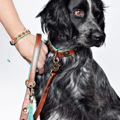 Dog With A Mission Urban Collar Brown With Turquoise -Equestrian Clothing Shop urban 2 cm collar xxs 7473 en G